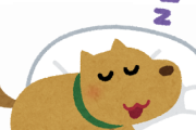 【マジかよ】イッヌさん、1日の睡眠時間がビックリするほどスゴかった…