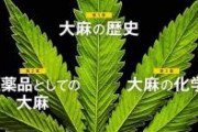 【朗報】大麻グミ社長、輝かしい経歴をセルフ開示していた