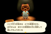 『あつまれどうぶつの森』のセーブデータ消去画面が怖すぎる！！「すべてが完全に抹消されるだなも」