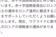 【速報】ロシア政府の嘘バレる　ウクライナ、赤十字国際委員会に依頼「大量のロシア兵の●体をロシアに送りたい」