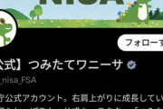 【悲報】金融庁のNISA宣伝班、逃亡ｗｗｗｗｗｗｗｗｗｗｗｗ