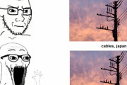 外国人「電線って景観悪いのに日本の景色だと評価されるよな」