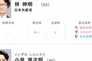 【悲報】横須賀市民、衆院選で究極の選択を迫られるｗｗｗ