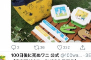 【朗報】100ワニショップ、本日が最終日……公式が売れ残りを大公開！【まだ間に合う！】