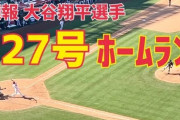 【画像】大谷が27号ホームラン打った時のエンゼルスタジアムの外野席ｗｗｗｗｗｗ