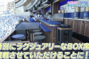 【朗報】AKBメンバーさん、20万円のVIP席でプロ野球観戦ｗｗｗｗｗｗ