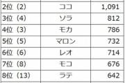 人気の犬の名前ランキング2023 1位はムギ 2位はココ 3位はソラ