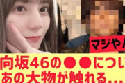 【日向坂46】あの大物が日向坂について触れる・・・