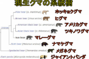 秋田の山中に出没した人喰いグマのヤバすぎる正体…報じられない地元の証言「どう見てもツキノワグマじゃねえ」「デカすぎる」