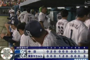 【ヤクルト対中日16回戦】ヤクルト対中日は３－３で引き分け