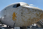 旅客機B737-700が飛行中にイナゴの大群に衝突…すさまじさを物語る写真！