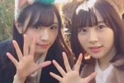 【欅坂46】なーこ卒業で渡辺梨加が心配だな。。。