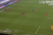 【GIF】日本代表史上最高のゴールは間違いなくこれｗｗｗｗｗｗｗｗｗ