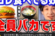 ひろゆき｢マクドナルドは頭いいですよね。ポテトの原材料がないは嘘。全部プロモで見抜けない奴はバカ