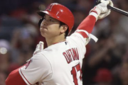 大谷翔平  .309  28HR  64打点  11盗塁  出塁率.389  OPS1.048 ← 打者としての欠点を答えなさい