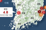 韓国人「韓国でM4.8の地震が発生！内陸で史上最大の地震‥地震による被害も相次ぐ」　韓国の反応