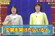 細かすぎて、過去最低の視聴率