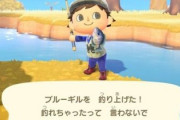 日本政府はコオロギより「ブルーギル」を推進すべきでわ！