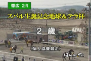 【ホロライブ】競馬：スバル生誕祭記念 地球&テラ杯が開催されていたｗｗｗ
