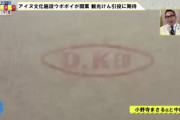 OK印の短刀やスイス土産を真似ただけの木彫り熊…アイヌと関係ない展示品施設ウソポイに税金200億円