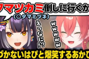 【にじさんじ】タマミツネを言い間違え下ネタっぽくなるも気づかないよつはぴと爆笑するあかぴゃ