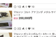 「俺が今売ってる物を無在庫転売してる人を見つけたから、販売価格を爆上げしてソイツの無在庫商品全部買ってみるわ」 → 衝撃の展開にｗｗｗｗｗ