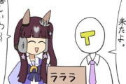【ウマ娘】何かがおかしいラッキーライラックのぬいぐるみｗｗｗ