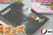 【競馬】欅坂46の菅井友香の持ち物にターフィーグッズがあった訳だが