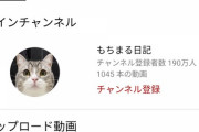 【予想通り】もちまる日記さん、もちまるに腎臓病が発覚したので新しく子猫を追加ｗｗｗ