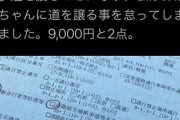 【悲報】Twitter民「押しボタン式信号機のある歩道で車道が青信号なのに止まらなかったから捕まった」