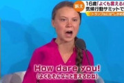 【悲報】環境活動少女グレタさん「誰か移動を助けて」