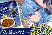 ホロライブVtuberのレトルトカレー：600円、　にじさんじVtuberのレトルトカレー：900円 ←これｗｗｗｗｗ