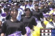 【画像】こういう甲子園チアに応援されたかったよな・・・