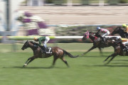 【競馬】藤井初重賞制覇！