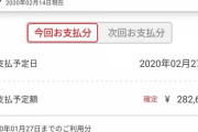 手取り16万ぼく、今月のクレカ支払い11万ｗｗｗｗｗｗｗｗ