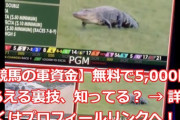 【競馬】真ん中に…ワニが…！【リアル真ん中に犬が・・・】