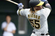 阪神の新外国人・ミエセスがシート打撃でまた快音　大竹から中前打　７日は本塁打