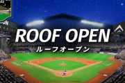 今日ってエスコンで試合やれそうなんか？