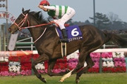 中東人「日本の競馬もエキサイティングだなぁ（ﾋﾟﾋﾟﾋﾟ）あっそろそろ時間だ」