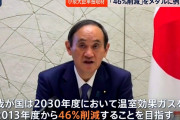 【悲報】小泉環境相「おぼろげながら浮かんできたんです。46という数字が シルエットが浮かんできたんです」