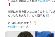 【悲報】ソニックの声優を20年やってた人、実写版ソニックの声優をイケメン若手俳優に奪われグチグチ嘆く・・・・