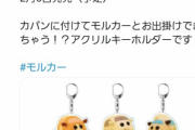 【画像】PUIPUIモルカーさん、調子に乗って商品展開してしまう・・・・