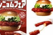 韓国人「日本ロッテリアの新メニューがマジで美味しそう‥（ﾌﾞﾙﾌﾞﾙ」→「どうして韓国で発売してくれないのですか？」　韓国の反応