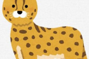 【朗報】サーバルの「うつぼ」16日ぶりに見つかる　　捕獲時に飼い主に噛みつく