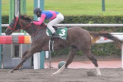 【プロキオンS】大波乱9番人気メイショウカズサがレコードで快勝！重賞初制覇