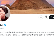 ニュー速公認保守のフィフィさん、イスラエルが今までやって来た事を分かりやすく解説