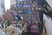 【地獄】ゴキブリ大量の汚部屋に住むTikTokerさん、1年以上家賃滞納し強制退去させられる