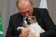 プーチン大統領から贈られた犬を適当に扱った結果ｗｗｗｗ （※gif画像あり）