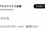 【悲報】プラスマイナス岩橋「まだあるけどな」