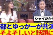 【櫻坂46】澤部さんと菅井友香が共演！よそよそしいと話題にwww